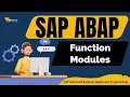 Function Modules in SAP ABAP Best SAP ABAP Training Ambikeya