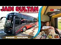 Download Lagu JADI SULTAN SEPANJANG PERJALANAN ‼️ Trip Juragan99 Comfort Class Bogor - Malang Full Rebahan
