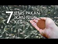 Download Lagu MEMILIH PAKAN UNTUK IKAN NILA KECIL YANG TEPAT AGAR TUMBUH LEBIH CEPAT