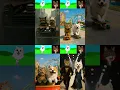 Download Lagu My Sprunki OC: OO EE AA Spinning Cat x My Sprunki OC Gabe the Dog - Runway of Darkness 😈✨Compilation