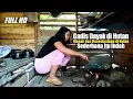 Download Lagu 🔴GADIS DAYAK MASAK DAGING BABI CAMPUR TERUNG ASAM \u0026 MAKAN BERSAMA KELUARGA DIPONDOK HUTAN KALIMANTAN