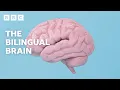 Download Lagu The AMAZING scientific benefits of being bilingual | BBC Ideas - BBC
