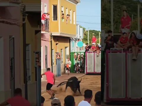 🔥🐂 ¡SALE UNA BESTIA! Torazo de enormes pitones 💥