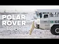 Tour Nat Hab s Exclusive Polar Rover Get Closer to Wild Polar Bears in Comfort