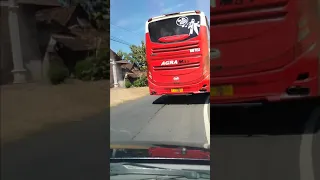 bus agra mas suosssss tanpa kata kata