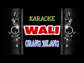 Download Lagu Wali - Orang bilang (Karaoke Version)