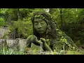 Rebelution--Roots Reggae Music ft Don Carlos