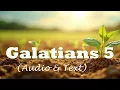 Galatians 5 KJV BIBLE With Text Images