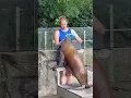 Download Lagu seal Artis zoo #amsterdam #travel #fannymoments #artis #zoo #seal #animals #fannyanimals #food