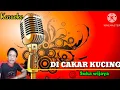 Lagu DI CAKAR KUCING KARAOKE - Suka wijaya