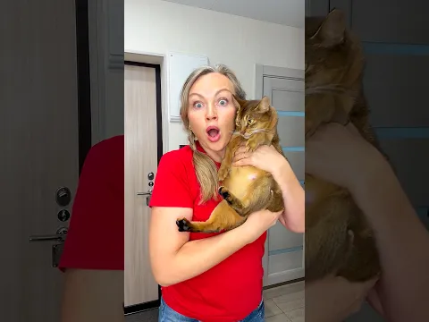 Cute Cats 🐈😁