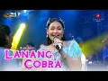Download Lagu LANANG COBRA - DIAN ANIC | ANICA NADA 07 FEBRUARI 2025 | TEGALWIRANGRONG | KERTASMAYA I INDRAMAYU