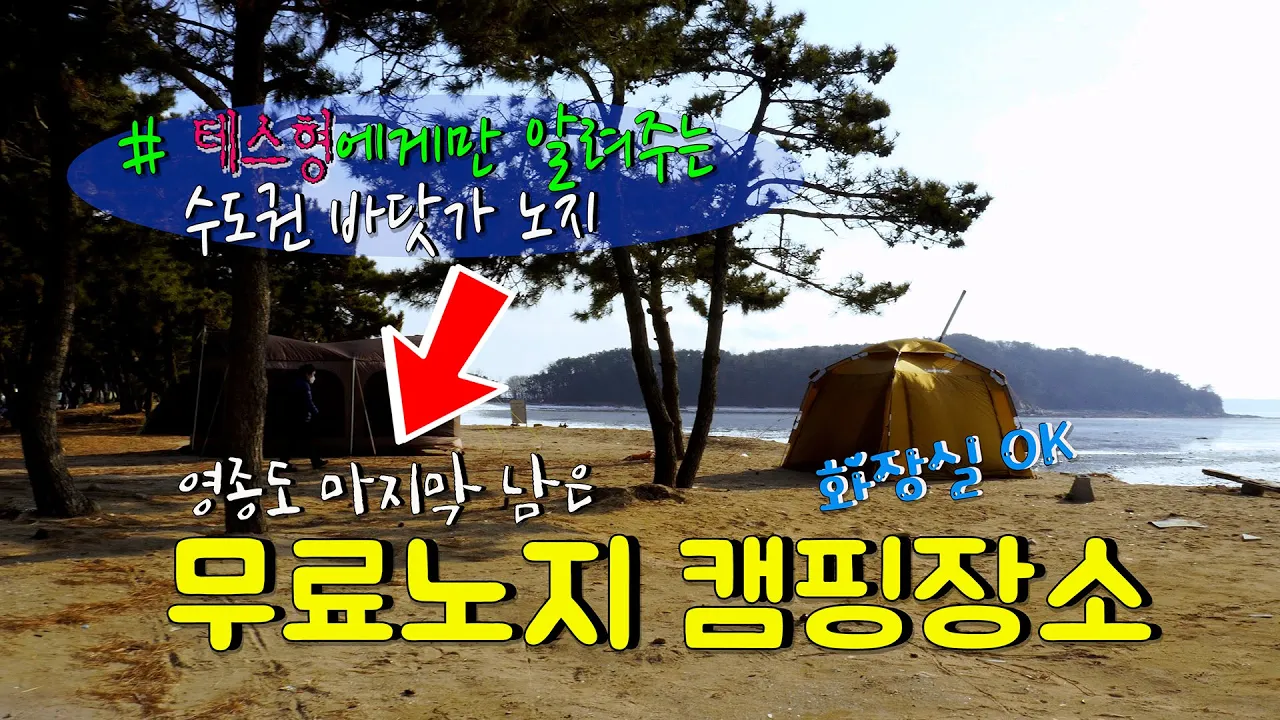 영종도 바닷가앞 해변에서 무료 노지캠핑 할 수있는곳 리뷰!!  해변가 소나무숲에서 캠핑 / 화장실OK~ 수도권 근교 노지캠핑 썸네일