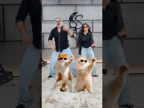 Ek Or Father Daughter Billi Dance 😂 #dance #catdance #cat #funny #harpreetsdc