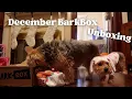 December BarkBox Unboxing Vlogmas Day 13