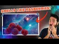 Download Lagu 25 Mind Blowing Random Facts You’ve Never Heard Before