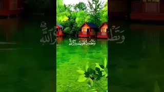 الشيخ عبد الباسط الا بذكر الله تطمئن القلوب 