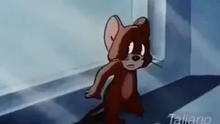 ودى سنه الحياه 