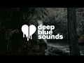 zach bryan - holy roller (feat. sierra ferrell) (lyrics)