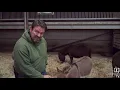 All about miniature donkeys - Cannon Hall Farm