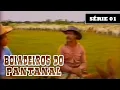 Download Lagu SÉRIE 01: BOIADEIROS DO PANTANAL - CLÁSSICO 1984 GLOBO RURAL