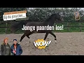 Download Lagu De 2-jarige merries opgeknapt en voor het eerst los in de bak!