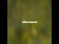 silverwood - Billy Hammer