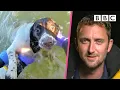 Rescuing Molly the Springer Spaniel Saving Lives at Sea - BBC