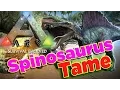 ARK Survival Evolved Taming Spinosaurus How To Tame Dinosaur Spinosaurus Spinosaurus Saddle