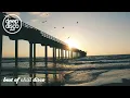 Housenick - Easy