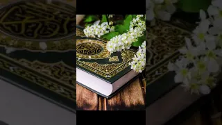 تلاوة حجازية من سورة الفرقان بصوت عبدالعزيز الفقيه 