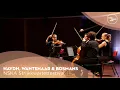 Download Lagu String Quartets Haydn, Wantenaar \u0026 Bosmans | NSKA Strijkkwartetfestival | TivoliVredenburg (2022)