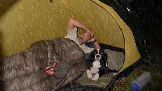 Camping In The Rain With Dog Tent And Tarp 