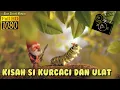 Download Lagu KURCACI TUA YANG JENGKEL DENGAN ULAT KECIL - Short Film Gnome