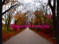 Download Lagu Dygta - Kerna Ku Sayang Kamu(With Lyrics) Best View