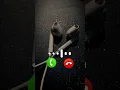 Download Lagu New 2025 popular Ringtone 🥀💞#viralringtone #shourts