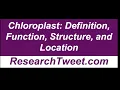 Chloroplast Definition Function Structure and Location