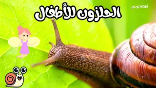 معلومات مدهشة عن الحلزون للأطفال    حقائق غريبة لن تصدقها  دندنها