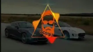                    دندنها