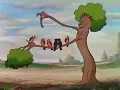 Laut & Luise Records DWIG - Orange Evening [Silly Symphony - Flowers and Trees]