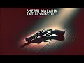 ACQUITTED OR GUILTY The Chilling Mystery of Sherri Malarik s Murder