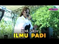 Download Lagu ILMU PADI -  RINDI SAFIRA || NEW ASTINA LIVE KERIK TAKERAN MAGETAN - PM AUDIO MADIUN 2024