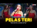 Download Lagu Shinta Arsinta - Pelas Teri (Live Dangdut Lembayung Music) | Pelas Teri Dibuntel Godong