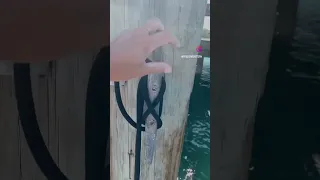 How I get propane refilled: dinghy propane tanks to shore, refill and return to boat! #sailing