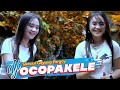 Download Lagu DJ OCOPAKELE BASS JEDUG BREWOG STUDIO | Goyang Pargoy Style Full Senyum