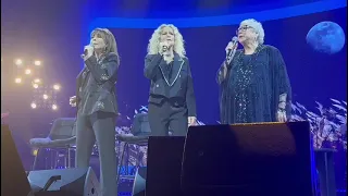 בשדות בית לחם להקת שוקולד מנטה מסטיק 