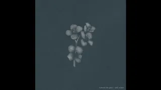 joel ansett toward the pain official audio u0026 artwork 