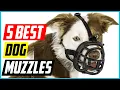 Best Dog Muzzles Top 5 Picks
