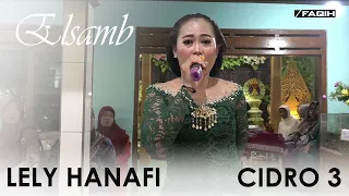 Download CIDRO 3 -  LELY HANAFI - ELSAMB - SWARA NADA AUDIO MP3