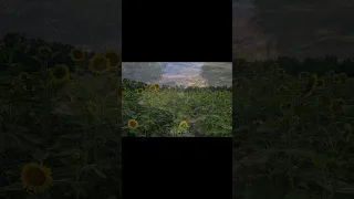 سورة الشرح ۱ قارئ عمر سیلدینسکي اکتب شیء تؤجر علية قران سورة الشرح عمر سيلدينسكي Quran Sura 